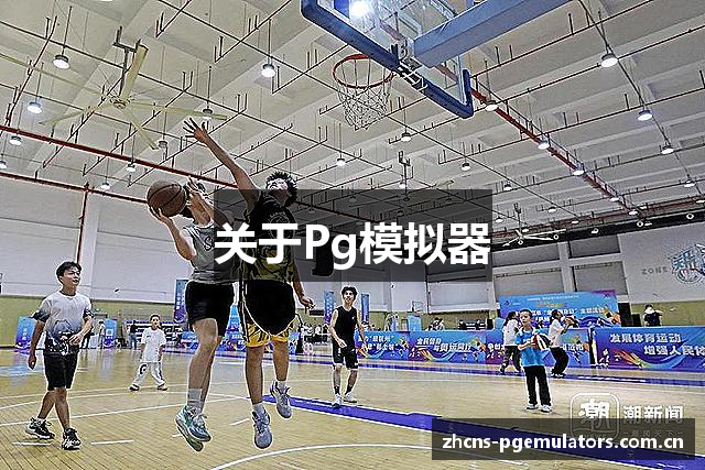 关于Pg模拟器